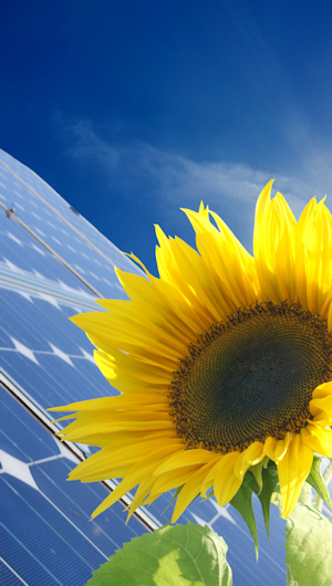 FiMa Group - Fragen Sie die Profis